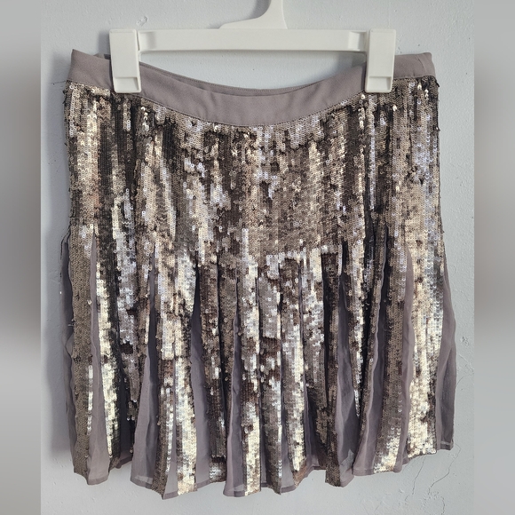 Banana Republic Dresses & Skirts - Banana Republic Silver Sequin Pleated A-Line Skirt